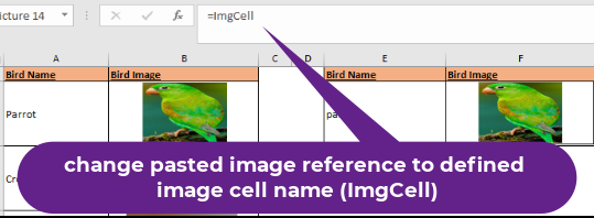 ImageCell