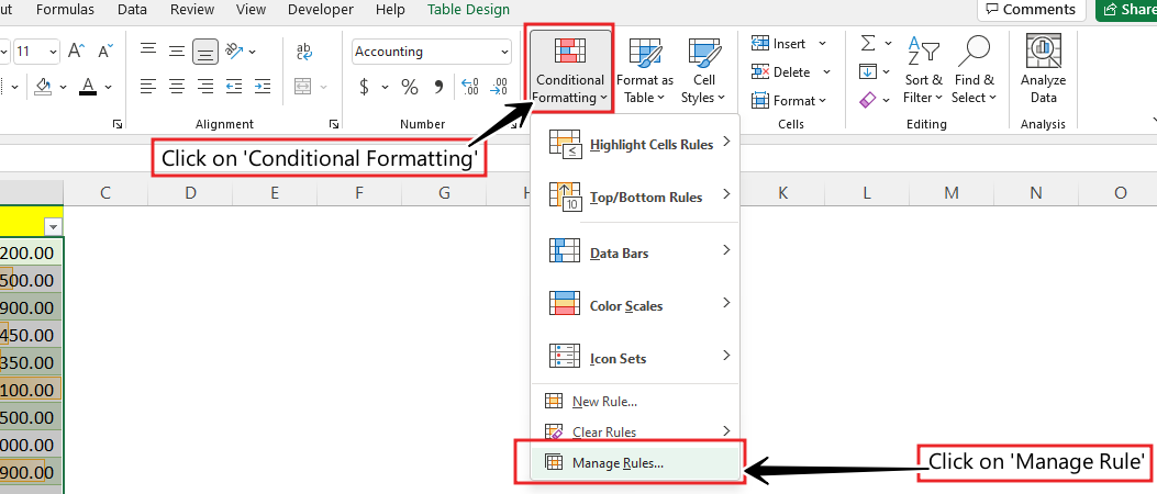 Formatting-Manage-Rule-Data-Bars-in-Example