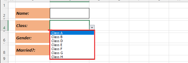 Add data validation drop down list 12