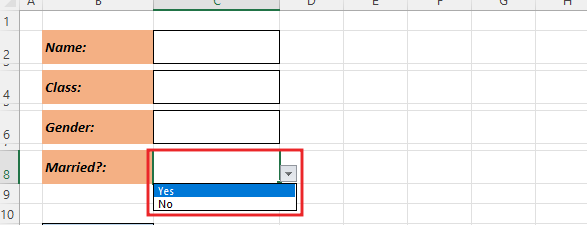 Add data validation drop down list 4